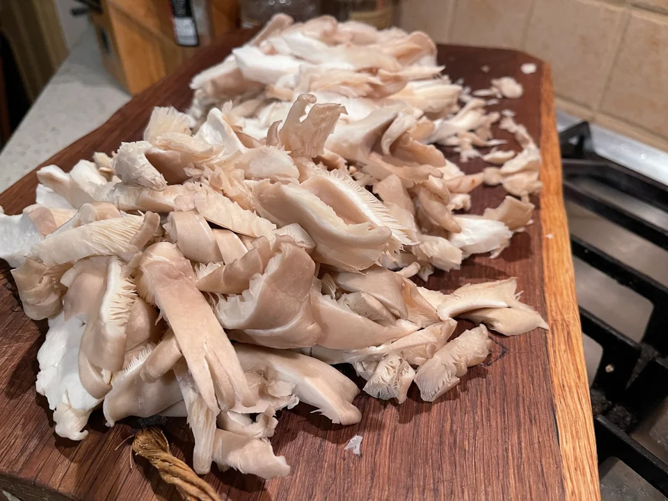 Ciuperci pleurotus tăiate fâșii
