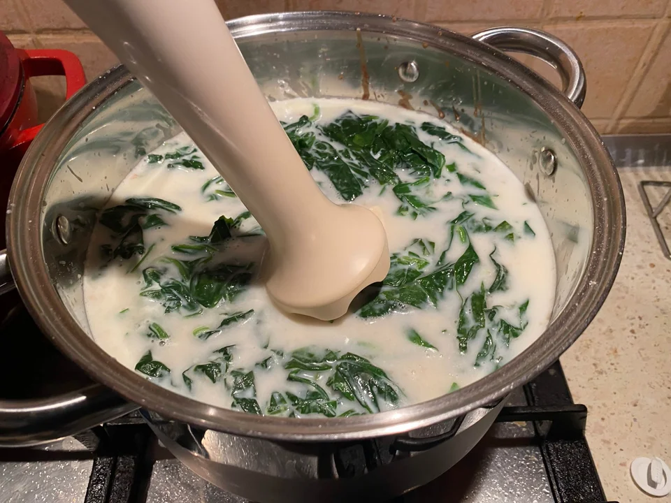 supa crema de spanac 035