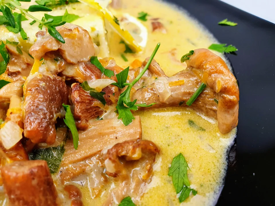 Ciulama din gălbiori, mușchiuleț de porc și mămăliguță cu pătrunjel, unt și parmezan